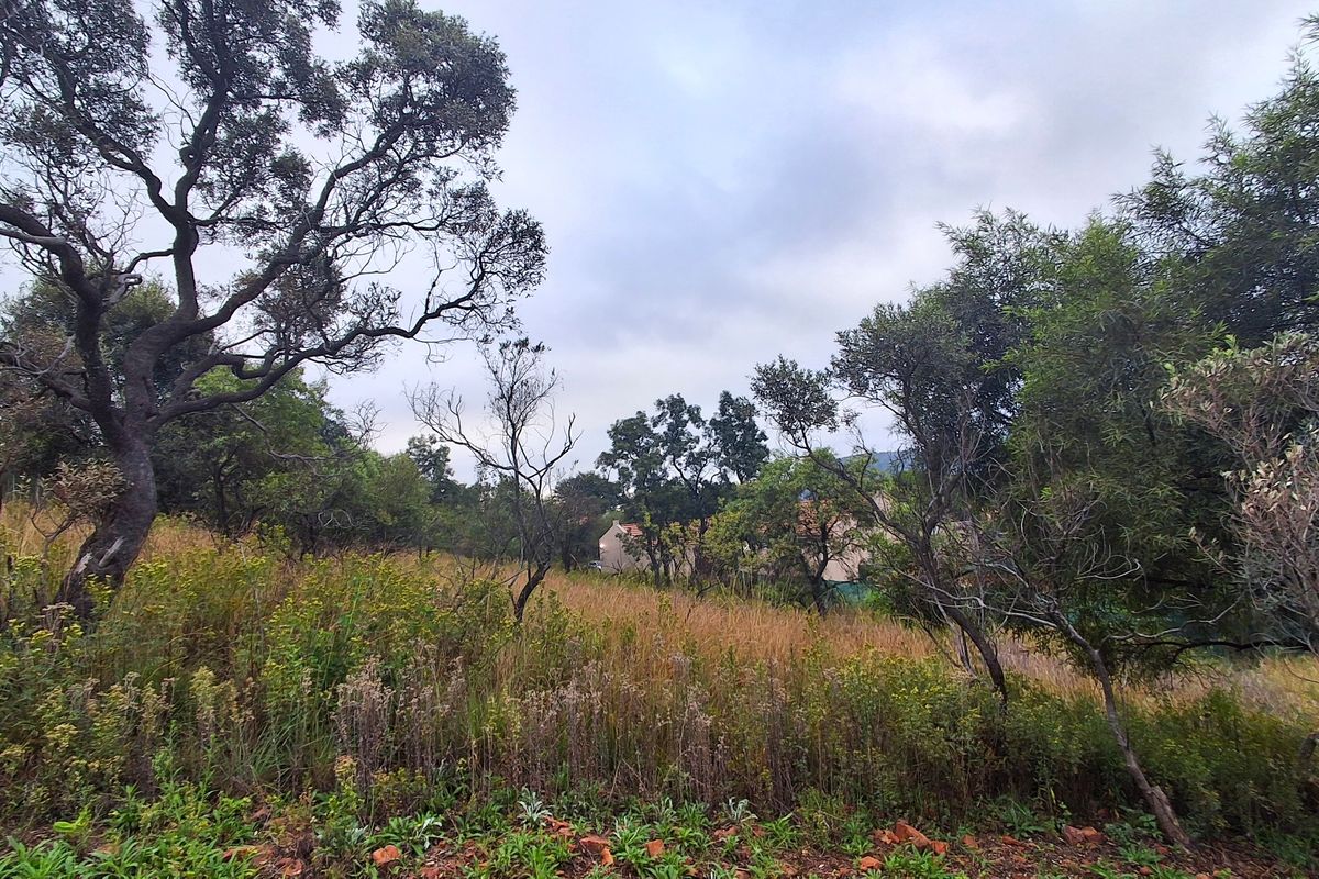 Buffelspoort – Build Your Dream Home in a Secure Eco Estate - Photo 4