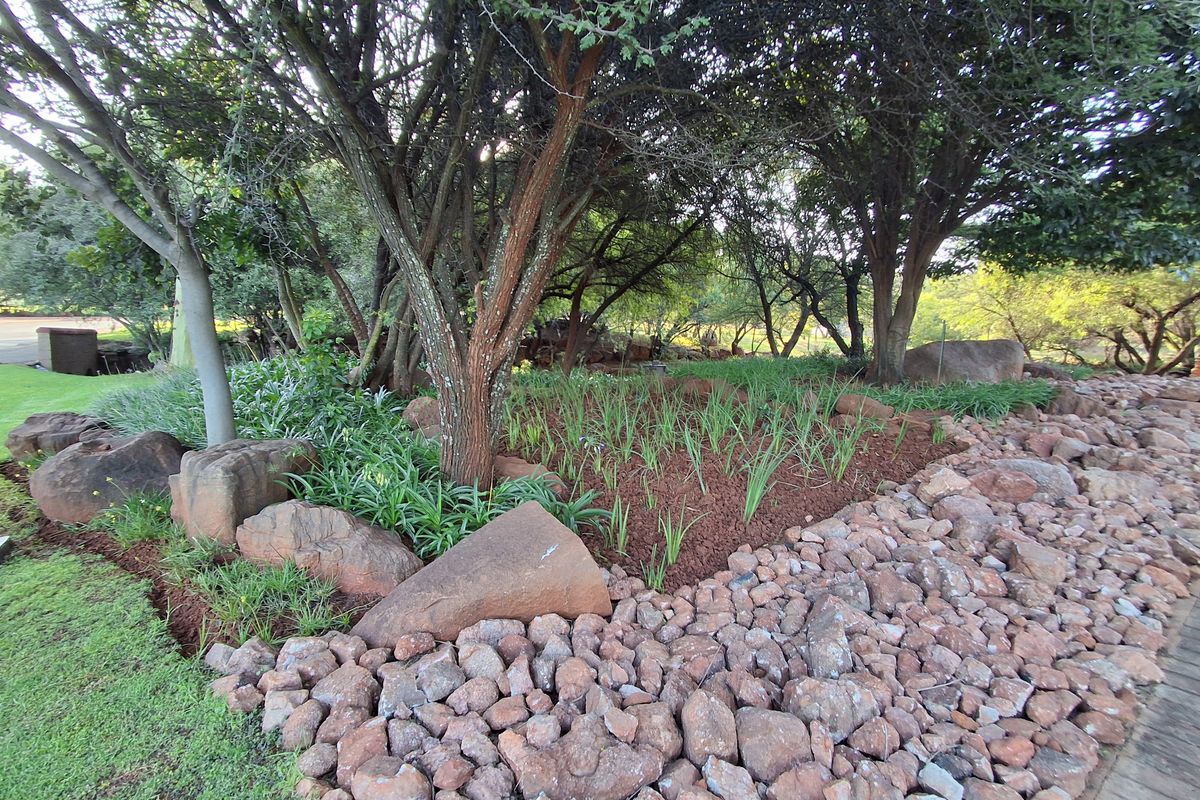 A well-maintained garden area featuring mature trees, a rockery, and mulched garden beds, providing a natural and established outdoor setting.