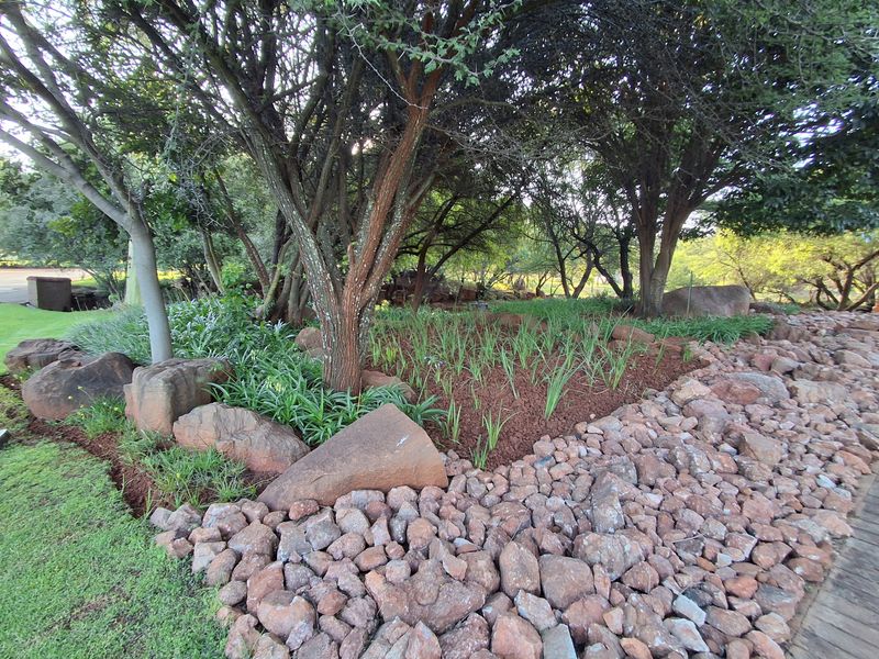 A well-maintained garden area featuring mature trees, a rockery, and mulched garden beds, providing a natural and established outdoor setting.