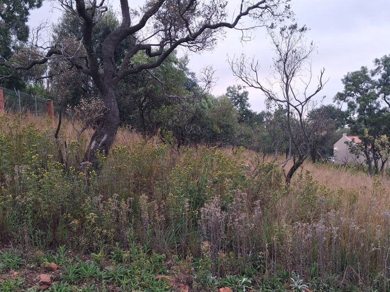 A view of a sloped residential plot featuring established trees and perimeter fencing, offering a natural setting for potential development.