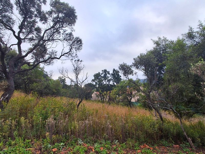 A view of a vacant residential plot featuring established trees and natural vegetation, offering a private and tranquil setting for future development.