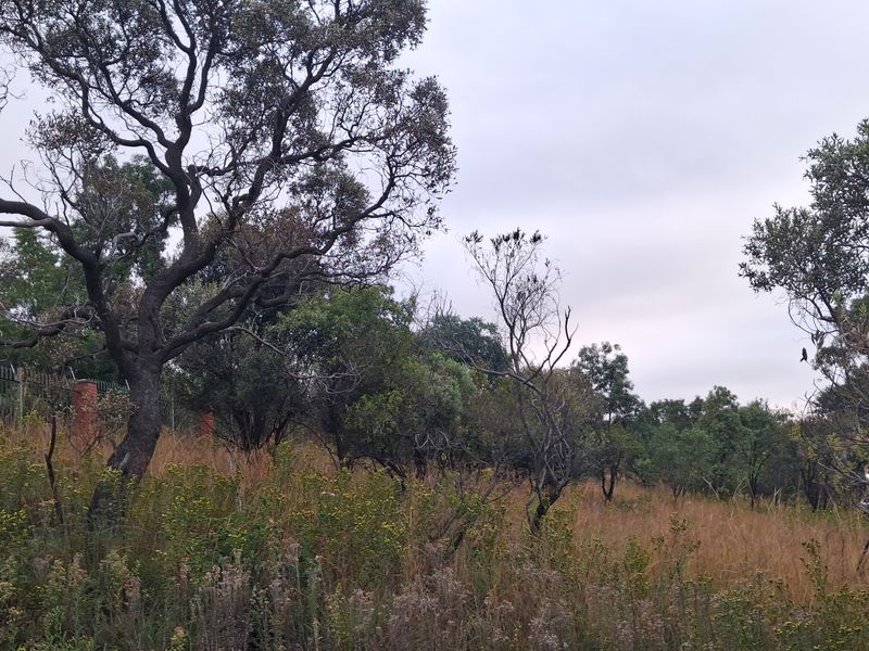 A view of the vacant residential land featuring established trees, native grasses, and perimeter fencing, offering a natural setting for future development.