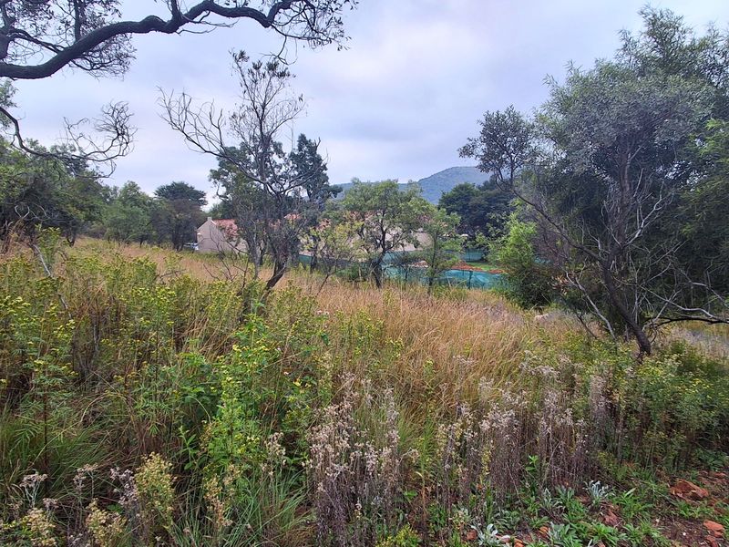 A view of a vacant residential plot featuring natural vegetation, mature trees, and a gentle slope, offering a peaceful setting for potential development.