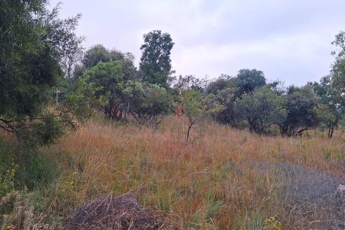 A view of the vacant residential land featuring natural vegetation and established indigenous trees.