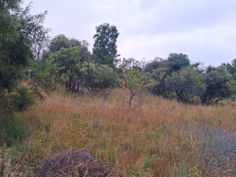 A view of the vacant residential land featuring natural vegetation and established indigenous trees.