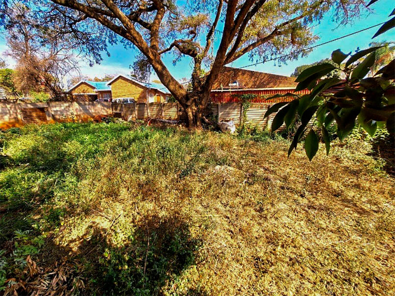 A large, overgrown backyard area featuring a mature tree and precast concrete boundary walling, requiring significant landscaping and clearing.