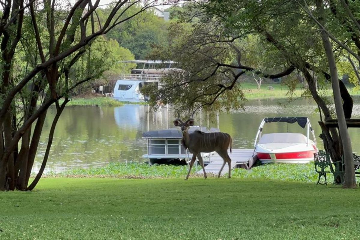 Waterfront stand for sale in Sable Hills - Photo 3