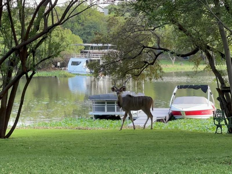 Waterfront stand for sale in Sable Hills - Photo 3