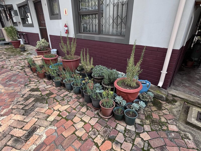 Freehold For Sale In Pretoria - Photo 9