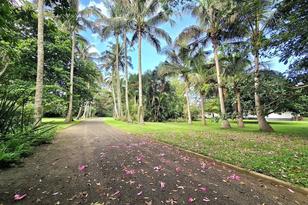 Live the Dream Lifestyle! - Photo 2