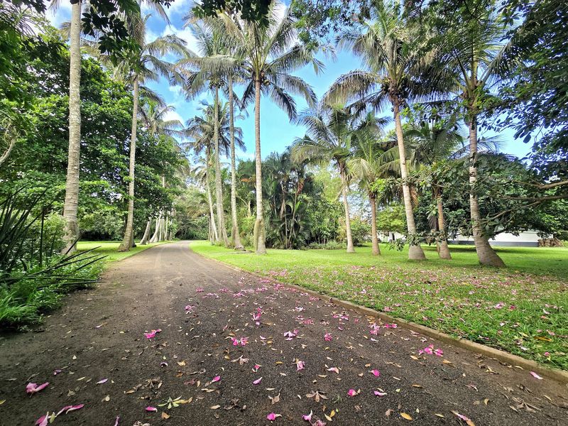 Live the Dream Lifestyle! - Photo 2