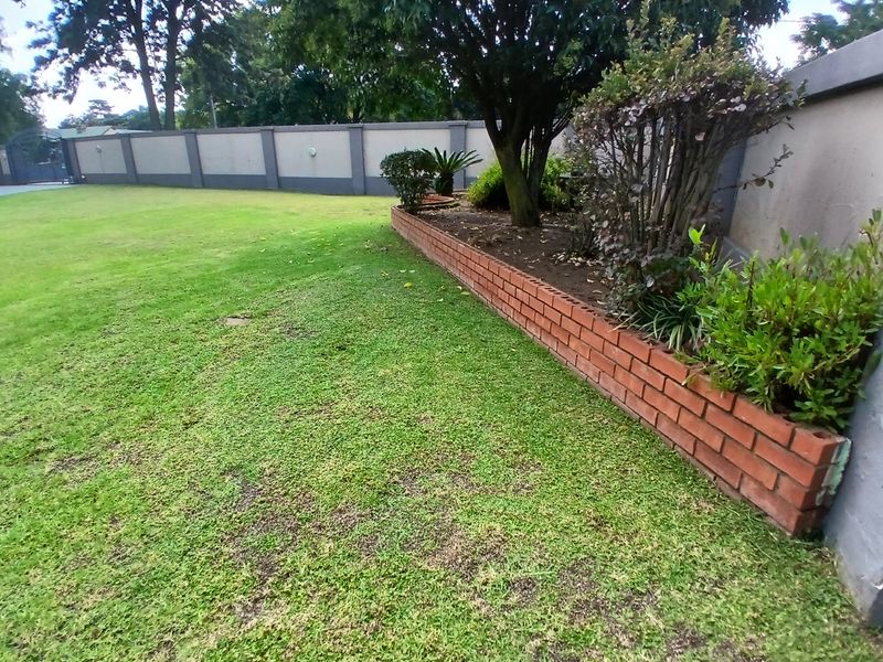 Stunning and neat home: Move-in Perfect - Photo 3