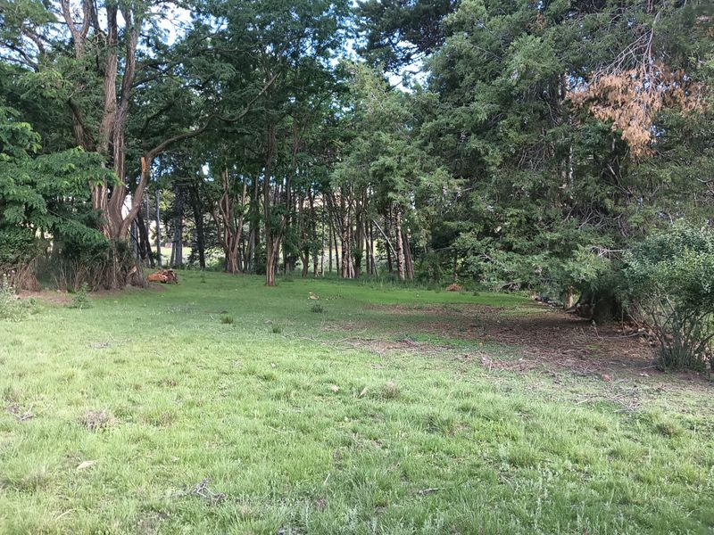 Vacant Land in the picturesque Rhodes Village - Photo 3