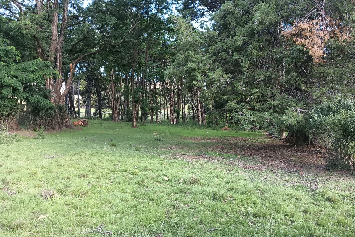 Vacant Land in the picturesque Rhodes Village - Photo 3