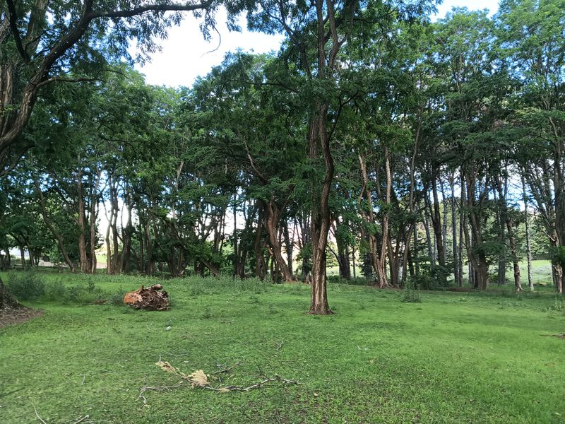 Vacant Land in the picturesque Rhodes Village - Photo 4
