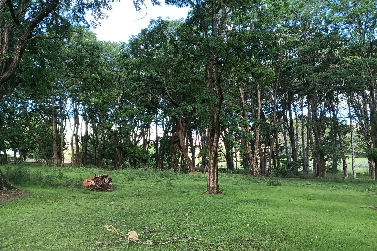 Vacant Land in the picturesque Rhodes Village - Photo 4