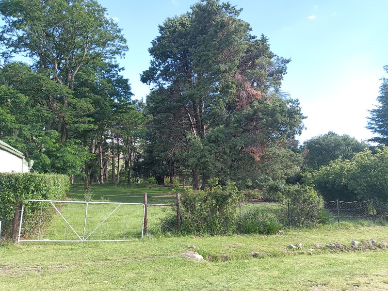 Vacant Land in the picturesque Rhodes Village - Photo 2