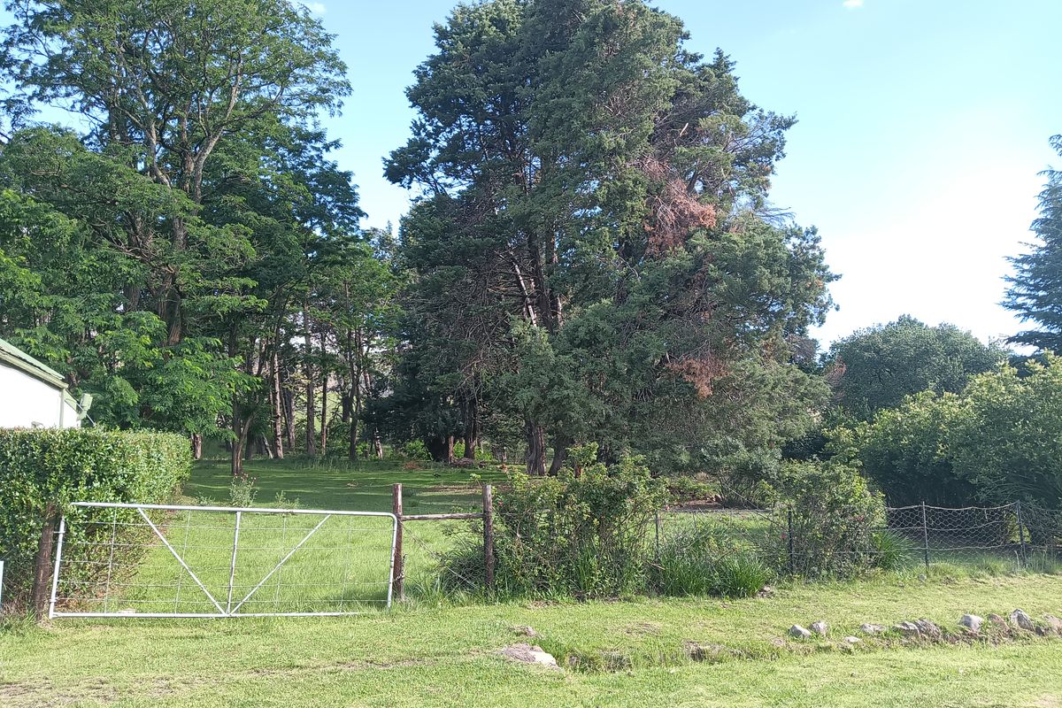 Vacant Land in the picturesque Rhodes Village - Photo 2