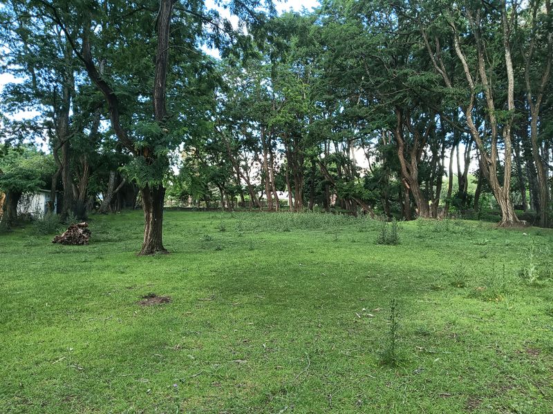 Vacant Land in the picturesque Rhodes Village - Photo 5