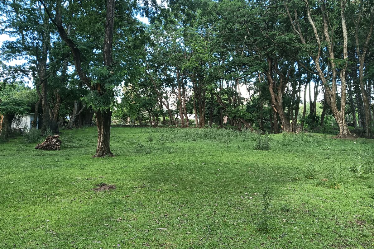 Vacant Land in the picturesque Rhodes Village - Photo 5