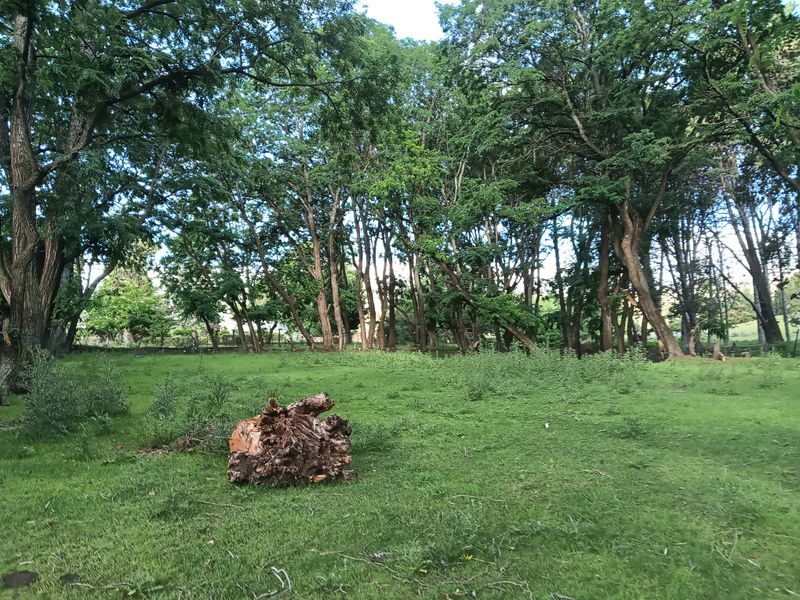 Vacant Land in the picturesque Rhodes Village - Photo 9