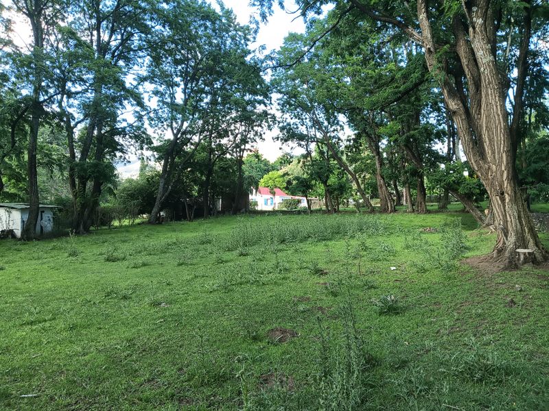 Vacant Land in the picturesque Rhodes Village - Photo 7