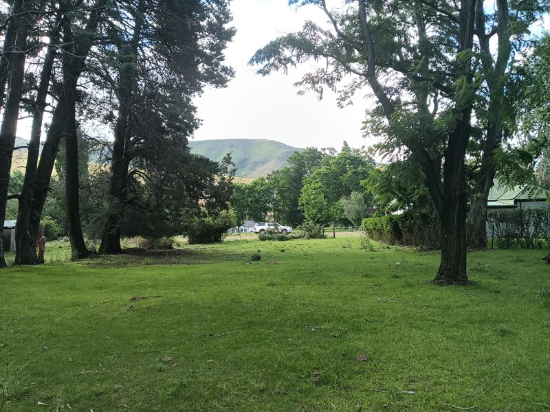 Vacant Land in the picturesque Rhodes Village - Photo 6