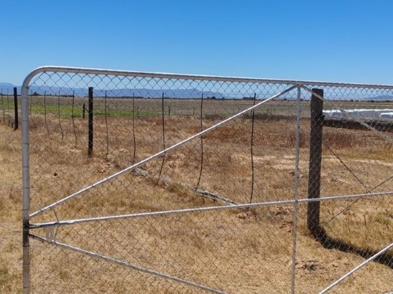 Hopefield - Stock and Wheat farm - Photo 9