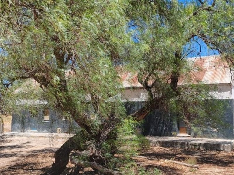 Hopefield - Stock and Wheat farm - Photo 8