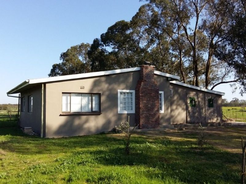 Hopefield - Stock and Wheat farm - Photo 6