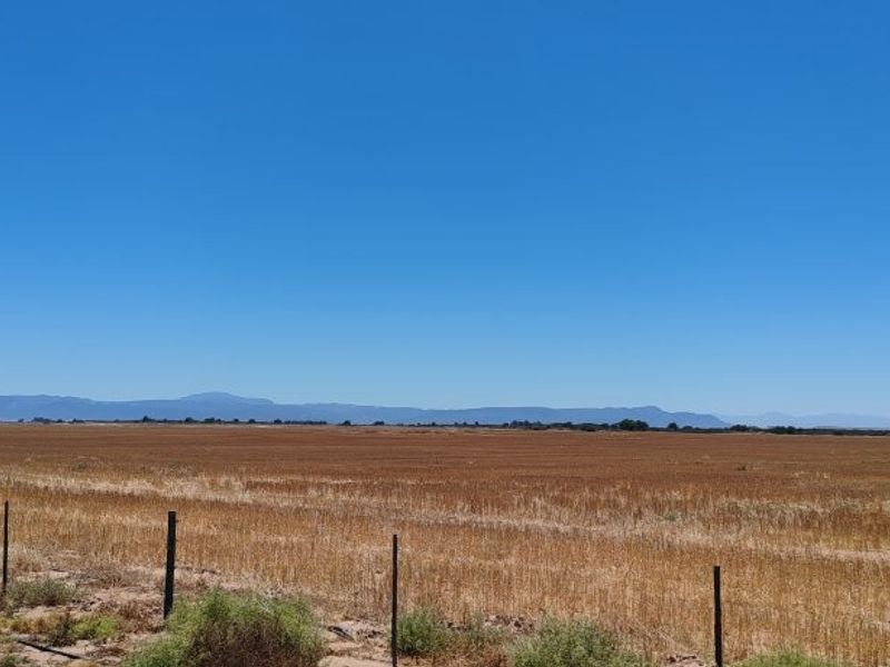 Hopefield - Stock and Wheat farm - Photo 4