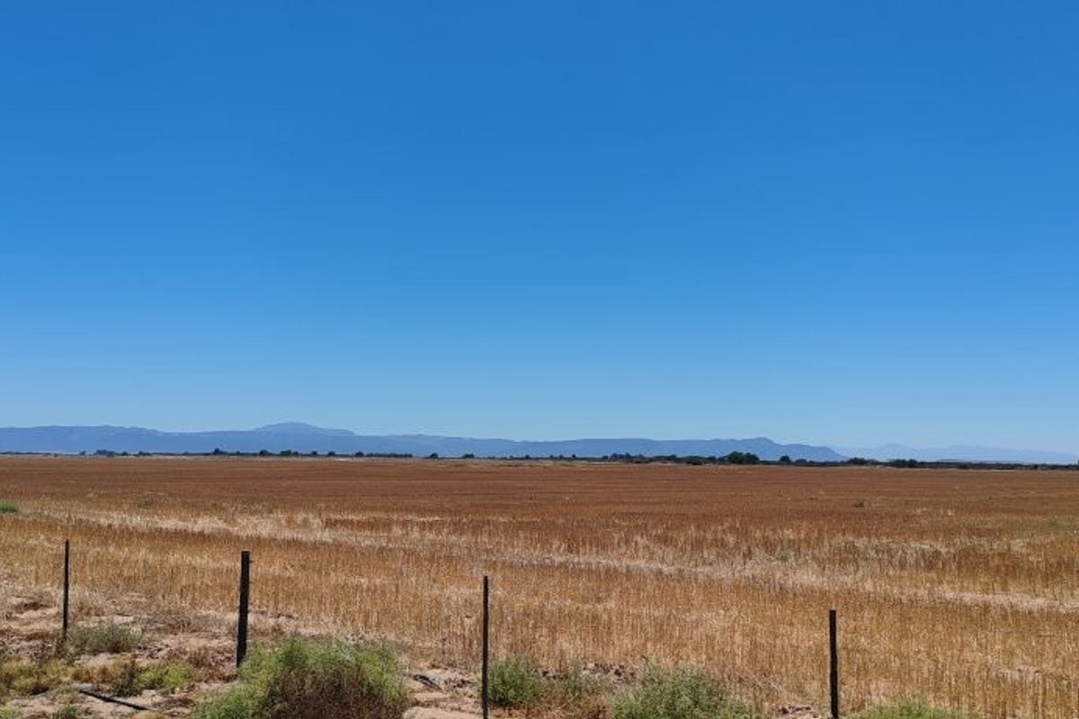 Hopefield - Stock and Wheat farm - Photo 4