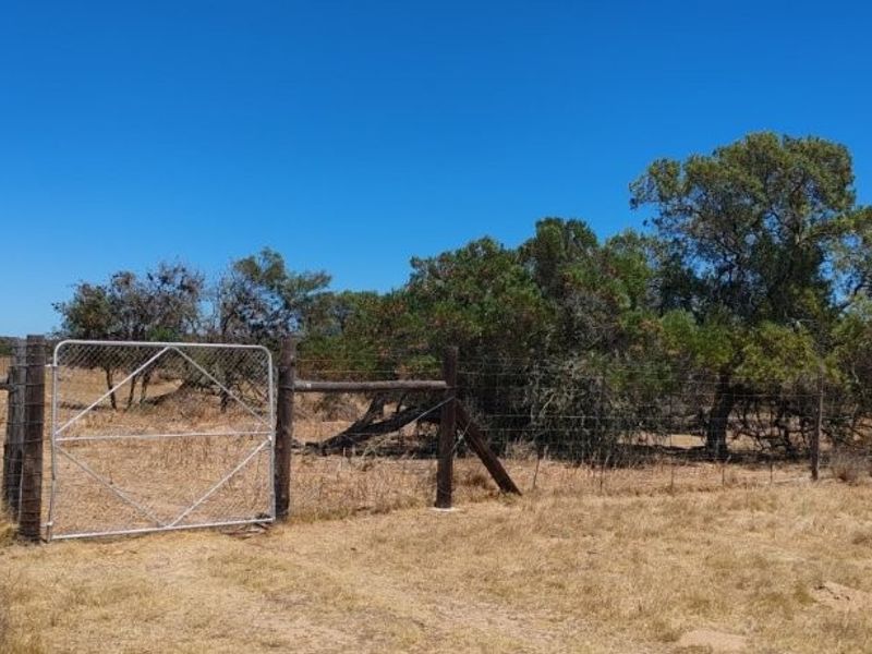 Hopefield - Stock and Wheat farm - Photo 10