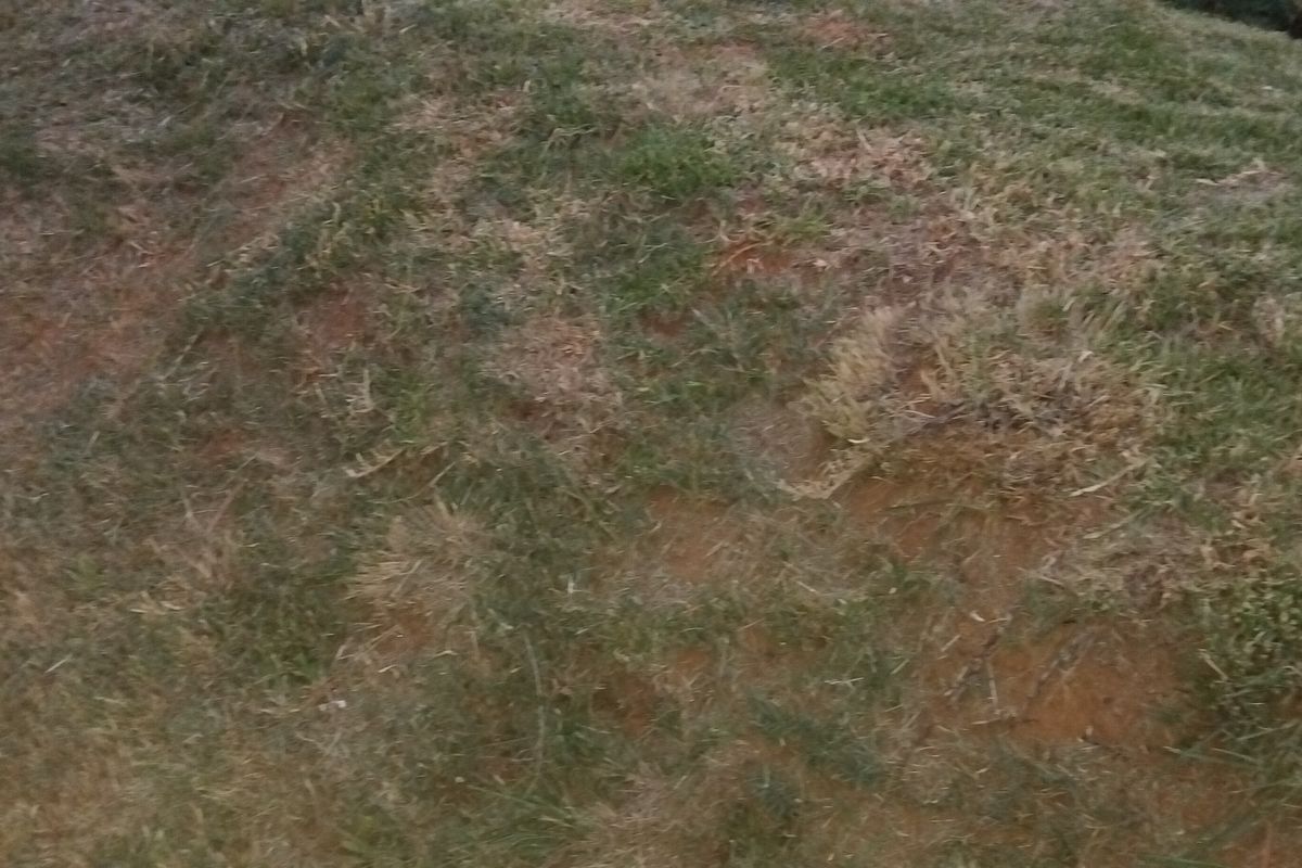 EXCLUSIVE SOLE MANDATE!!! - Photo 3