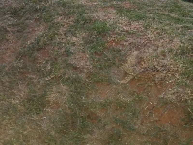 EXCLUSIVE SOLE MANDATE!!! - Photo 3