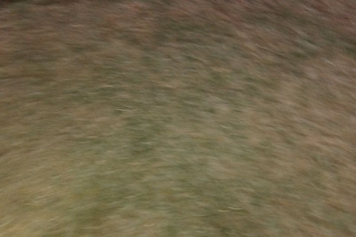 EXCLUSIVE SOLE MANDATE!!! - Photo 2