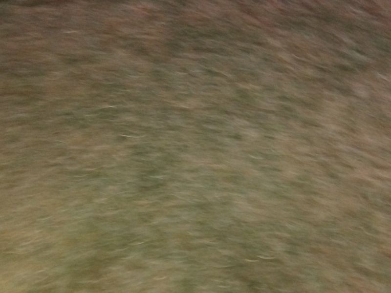 EXCLUSIVE SOLE MANDATE!!! - Photo 2