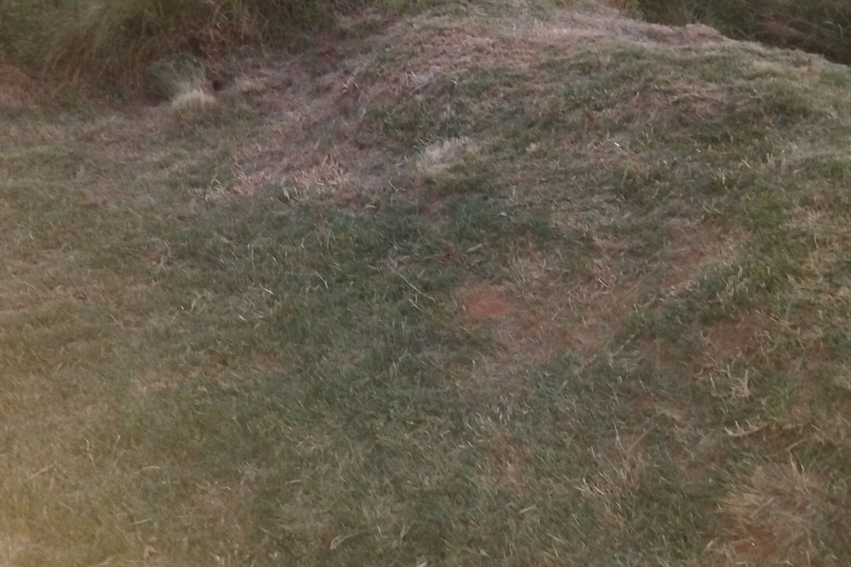 EXCLUSIVE SOLE MANDATE!!! - Photo 4