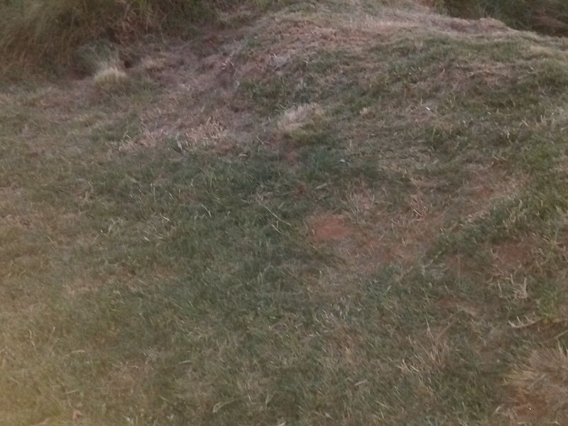 EXCLUSIVE SOLE MANDATE!!! - Photo 4