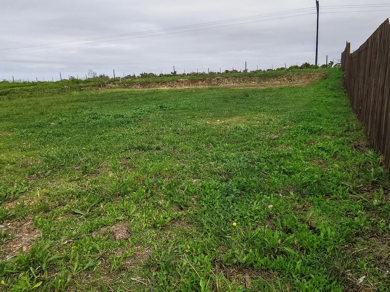 Stand for Sale in C Place, Jeffreys Bay - Photo 7