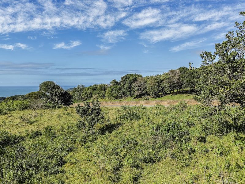 Sea view Plot in Cintsa East - Photo 3