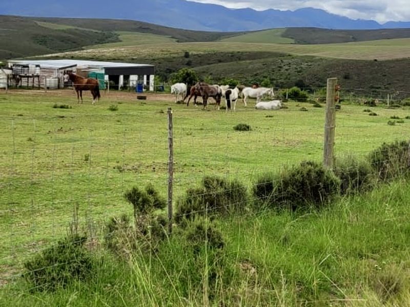 Rietkuil Lifestyle Smallholding with Panoramic Langeberg Views – Create, Escape & Embrace Freedom - Photo 10