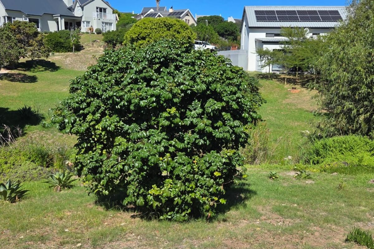 Where Nature Meets Secure Living - Photo 5