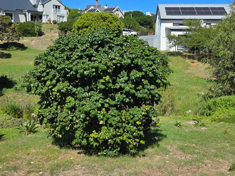 Where Nature Meets Secure Living - Photo 5