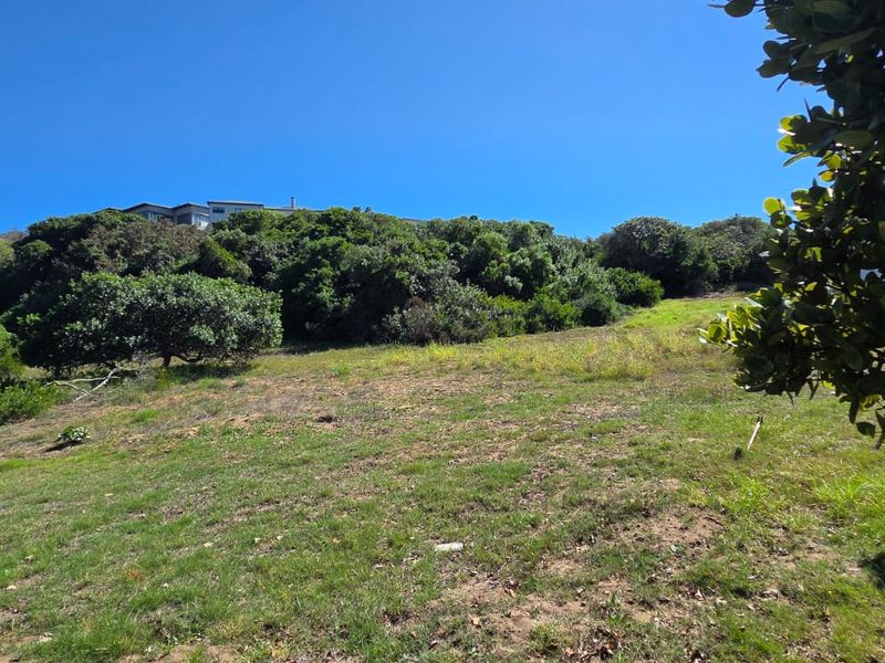 Where Nature Meets Secure Living - Photo 2