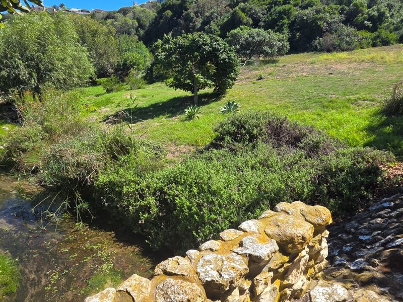 Where Nature Meets Secure Living - Photo 6