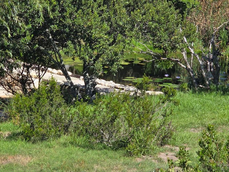 Where Nature Meets Secure Living - Photo 7