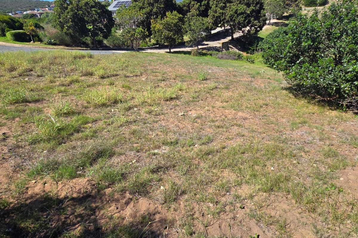 Where Nature Meets Secure Living - Photo 4