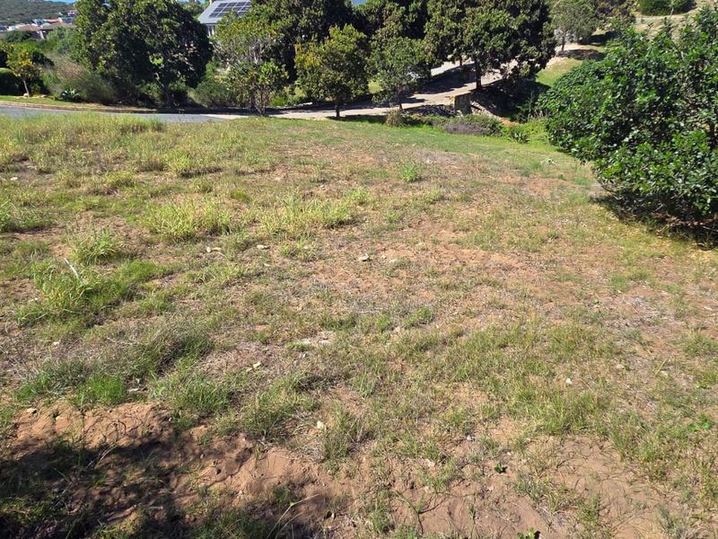 Where Nature Meets Secure Living - Photo 4