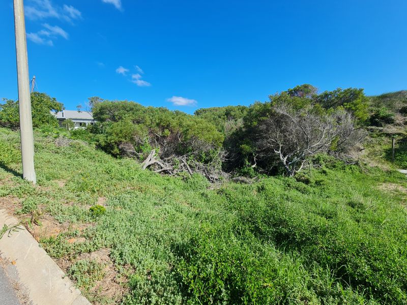 Large Stand with Potential for Beautiful Views in Paradise Beach, Jeffreys Bay - Photo 3